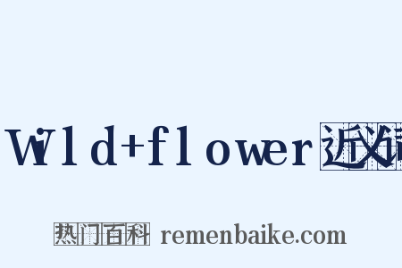 Wild+flower近义词是什么意思的图片